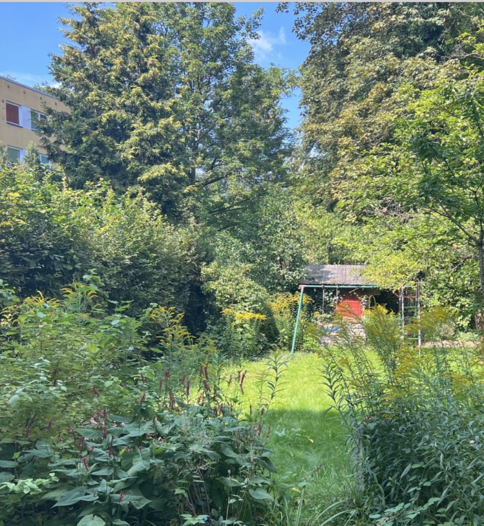 Der eingewachsene Garten mit Wiese, hohen Bäumen, Schaukel und Gartenhaus